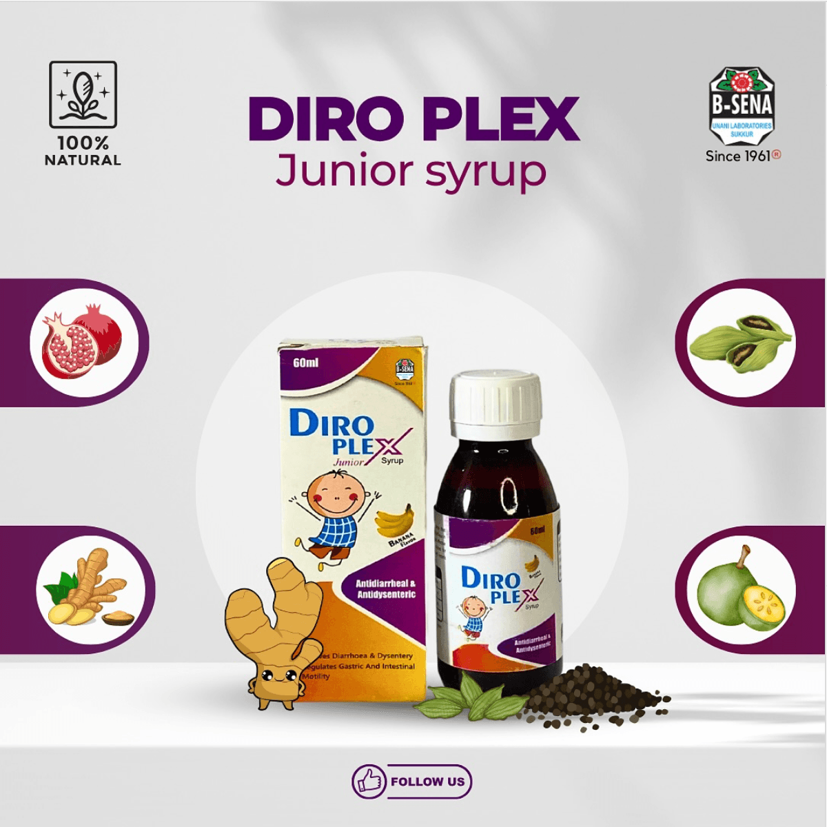 diro plex